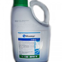 Моддус 250 ЕС регулятор росту (Syngenta)