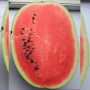 Нептун F1 насіння кавуна середнього (Takii Seeds)