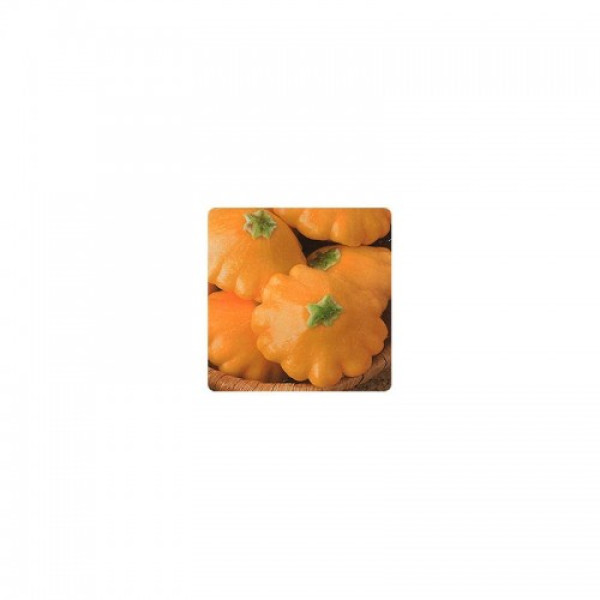 НЛО семян патиссона (GL Seeds)