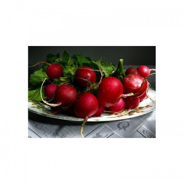 Родос семян редиса (Satimex)
