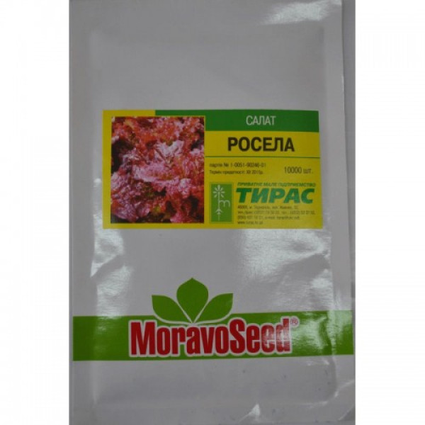 Растение семян салата тип Батавия (Moravoseed)