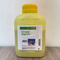 Фунгицид Сигнум – BASF