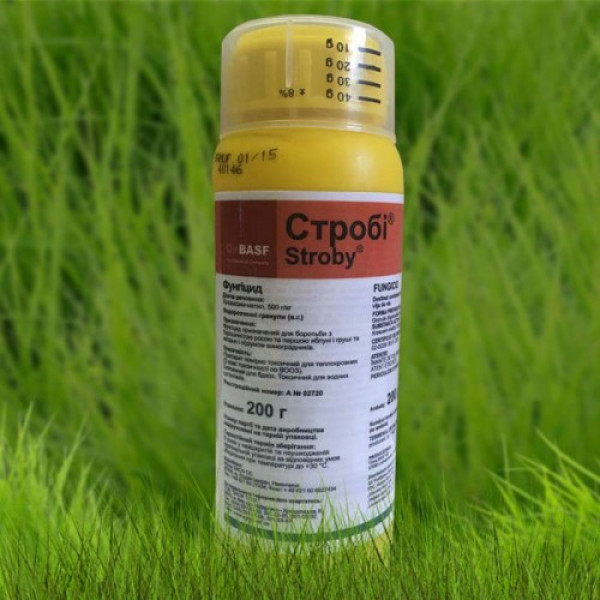 Фунгіцид Стробі - BASF
