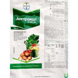 Фунгіцид Антракол 70 WP - Bayer