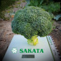 Арес F1 семян капусты брокколи ранней 60-70 дн. (Sakata)