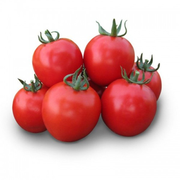 Асвон F1 (KS 1140 F1) семена помидора детерминантного (Kitano Seeds)
