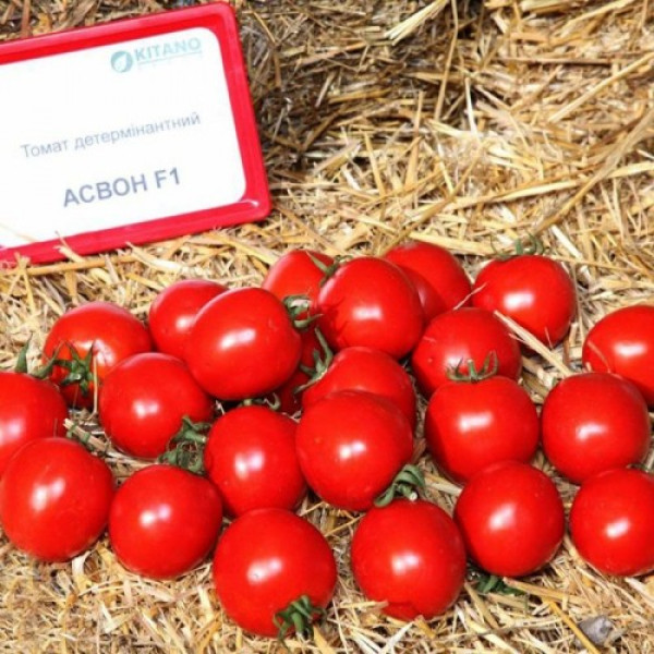 Асвон F1 (KS 1140 F1) семена помидора детерминантного (Kitano Seeds)