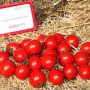 Асвон F1 (KS 1140 F1) семена помидора детерминантного (Kitano Seeds)