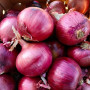 Дівіна Стар F1 насіння цибулі ріпчастої озимої (Cora Seeds)
