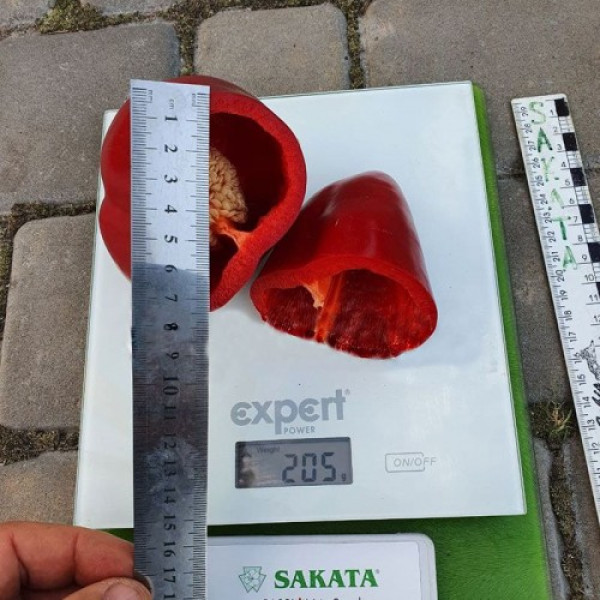 Феррари F1 семена перца сладкого типа Венгерский ранн.75-80 дн. 220-250 гр.зел/черв.(Sakata)
