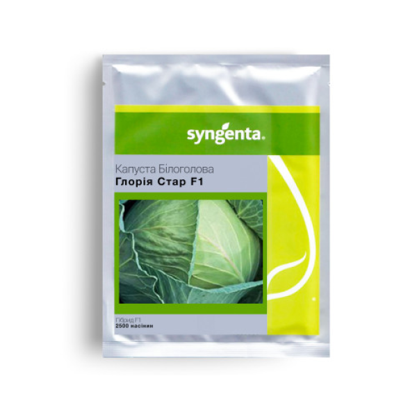 Глорія F1 насіння капусти білоголової (Syngenta)
