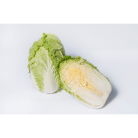 Кьюстар F1 (калибр.) семян капусты пекинской (Takii Seeds)