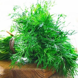 Тетра насіння кропу (Satimex КЛ)