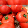 КС 301 F1 (KS 301 F1) семена помидора индетерминантного (Kitano Seeds)