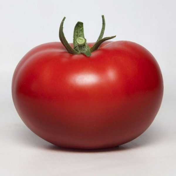 КС 301 F1 (KS 301 F1) семена помидора индетерминантного (Kitano Seeds)