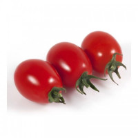 КС 3640 (KS 3640) F1 насіння помідора черрі детермінантного (Kitano Seeds)