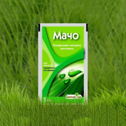 Мачо прилипач (Семейный сад)