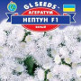 Нептун F1 білий (white) насіння агератума (GL Seeds)