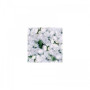 Нептун F1 білий (white) насіння агератума (GL Seeds)
