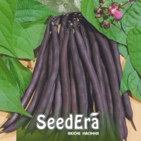 Парпл Тіпі насіння квасолі спаржевої (Seedera)
