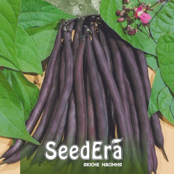 Парпл Тіпі насіння квасолі спаржевої (Seedera)