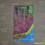 Лімоніум Суворова рожевий (pink) насіння (Moravoseed)