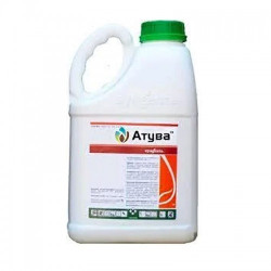 Оттува протравитель (Syngenta)