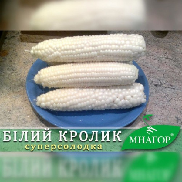 Белый кролик F1 семена кукурузы суперсладкой Sh2 (Мнагор)