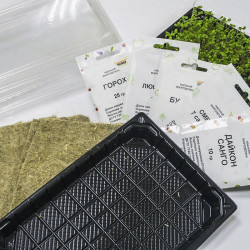 Фаворит (5 врожаїв) набір насіння мікрозелені (Agrocity)
