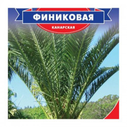 Фінікова насіння пальми (Seedera)
