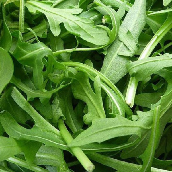 Вайлд Рокет насіння руколи дикої (Hortus)