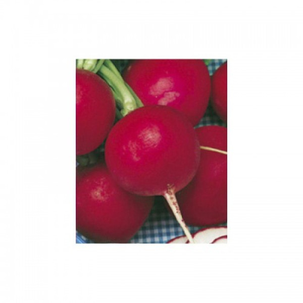 Илка семян редиса (Satimex)