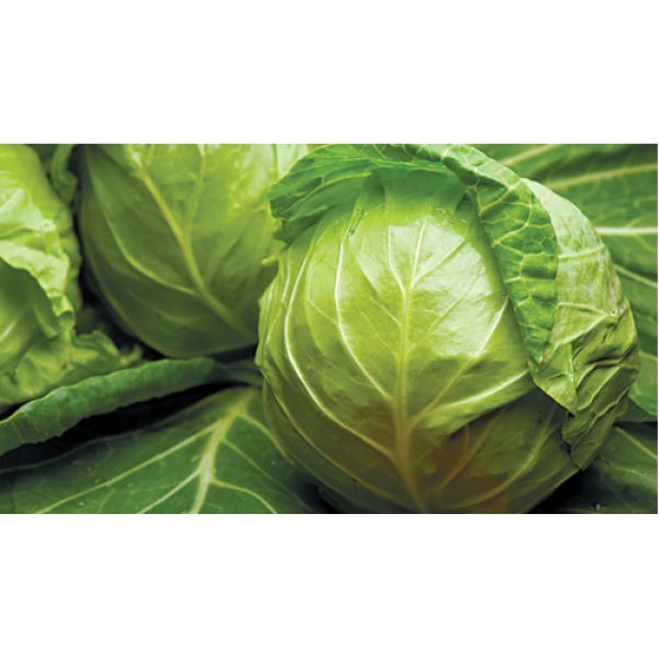 Брауншвайгер насіння капусти білоголової (Hortus)