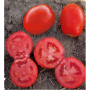 Дерика F1 (KS 720 F1) семена помидора детерминантного (Kitano Seeds)