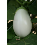 Каролина F1 семена баклажана среднераннего (Semo)