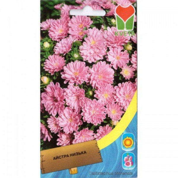 Айстра карликова рожева (Pink) насіння (Moravoseed)