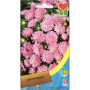 Айстра карликова рожева (Pink) насіння (Moravoseed)