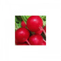 Корунд семян редиса (Satimex)