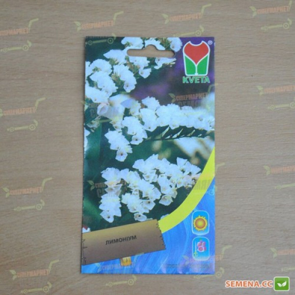 Лімоніум білий (white) насіння (Moravoseed)
