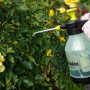 Опрыскиватель ручной AQUA SPRAY CLEAR 1,5л, AS0150CL (Bradas)