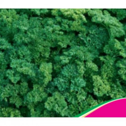 Парамоунт насіння петрушки кучерявої (Seedera)