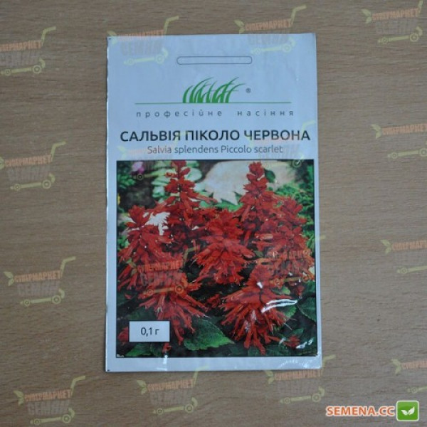 Піколо червоний (red) насіння сальвії (Hem Zaden)