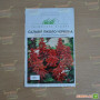 Піколо червоний (red) насіння сальвії (Hem Zaden)