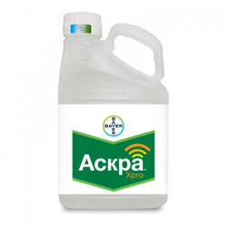 Фунгіцид Аскра ХPRO - Bayer