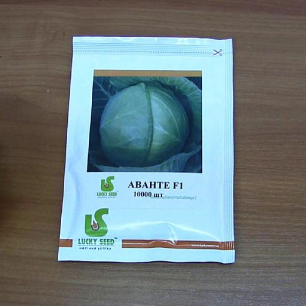 Аванте F1 семена капусты белоголовой (Lucky Seed)