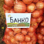 Банко семян лука репчатого позднего 115-120 дн. до 300 гр. желтой (Syngenta)