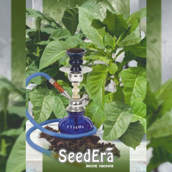 Болівійський чорний насіння тютюну курильного (Seedera)