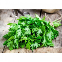 Бутербродные семена петрушки листовой (GL Seeds)