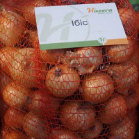 Ібіс F1 насіння цибулі ріпчастої озимої (Hazera)