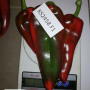 КС 2458 F1 семена перца сладкого (Kitano Seeds)